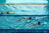 Bezpłatna nauka pływania dla krakowskich rodzin. Sprawdź terminarz!