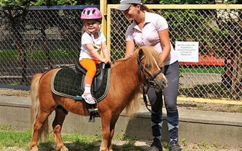 Na końskim grzbiecie