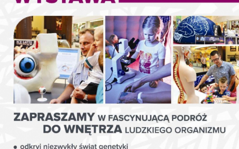 Podróż do wnętrza ludzkiego organizmu