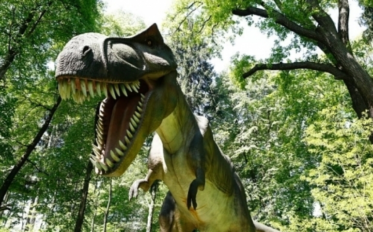 Zatorland-PARKI ROZRYWKI