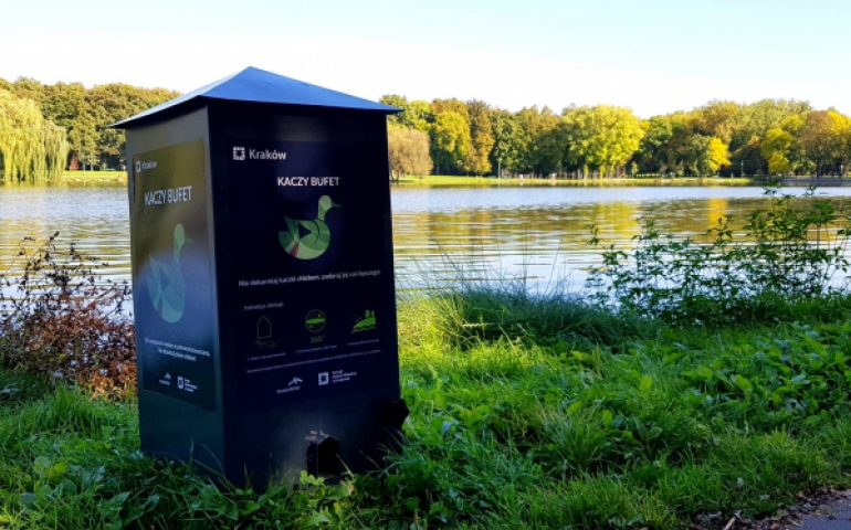 Nad Zalewem Nowohuckim będzie można automatycznie nakarmić kaczki