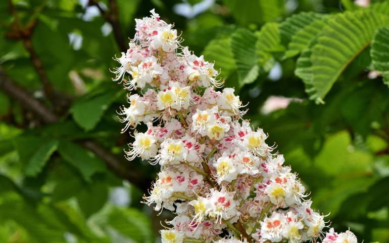 Wolność i samotność na maturze z języka polskiego