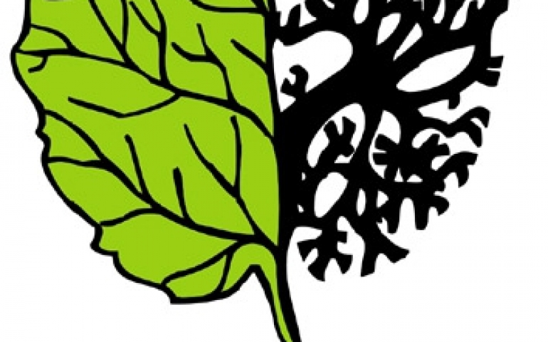 Niewidzialna choroba