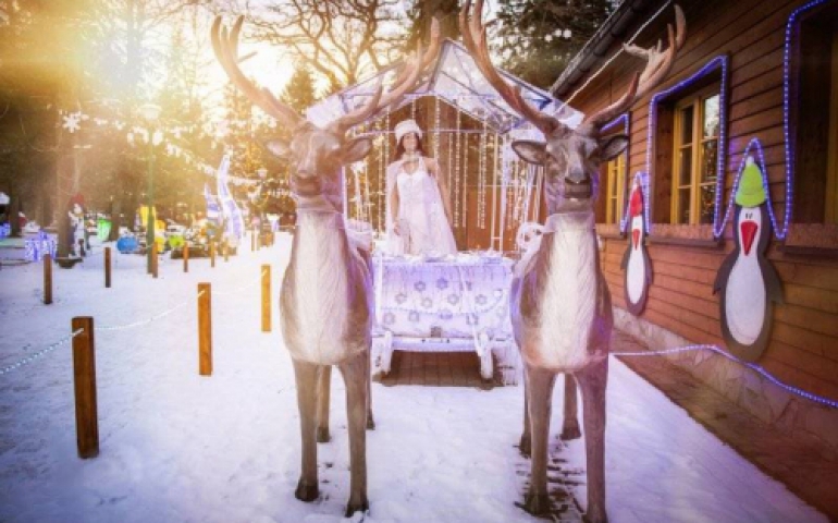 Magiczna kraina oświetlona 3 milionami lampek zaprasza