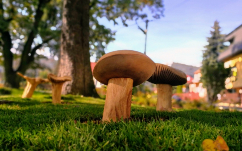 Wysyp parków kieszonkowych w Krakowie. Zobacz zdjęcia ogrodu w twojej okolicy