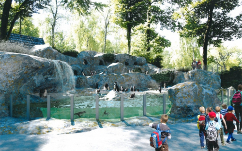 W krakowskim ZOO pingwiny już pływają