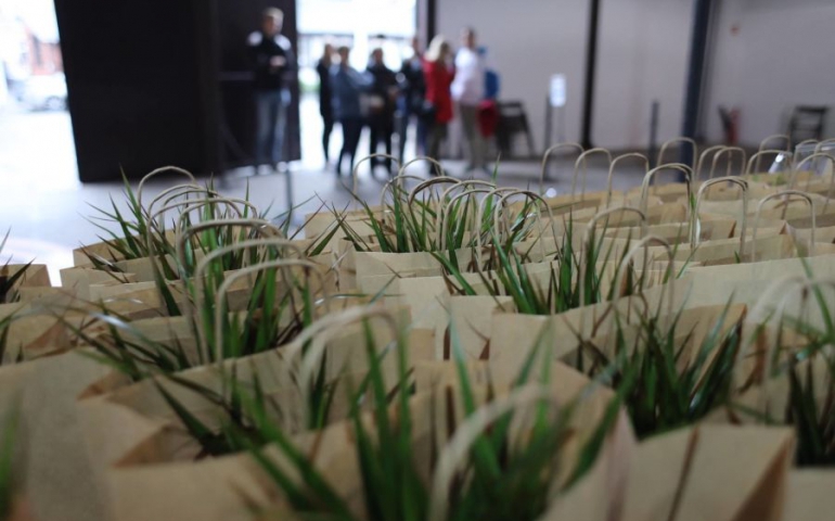 Szkoły dostaną zielistkę, która pomoże uczniom lepiej się poczuć