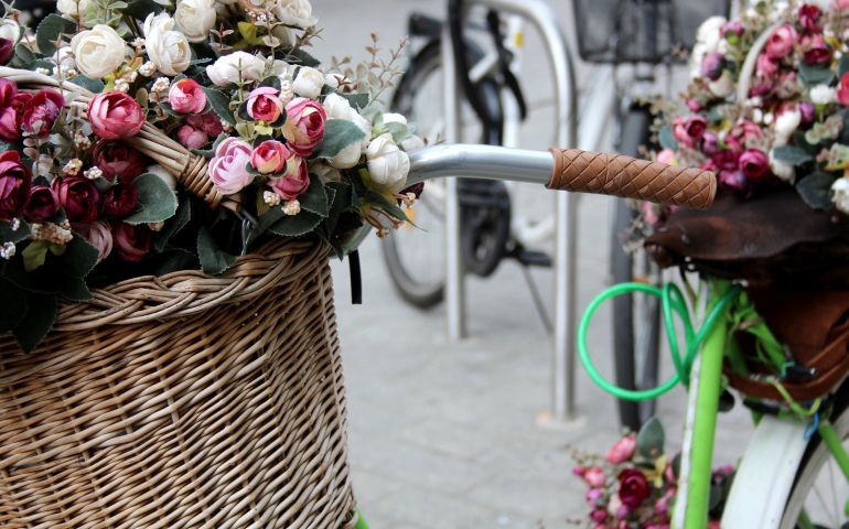 Podczas tej wycieczki poznasz śluzy, pasy filtrujące i strefy uspokojonego ruchu